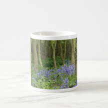 Bois de jacinthe des bois - jacinthes des bois dan mug à café