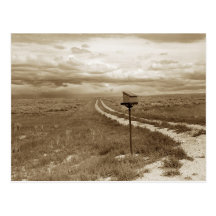 Boîte aux lettres isolée au Wyoming Cartes Postales