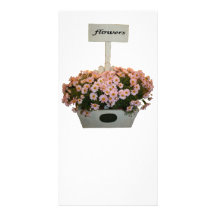 Boîte de marguerites photocartes