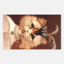 Bonbon victorien à bijou de chat de salon de chant