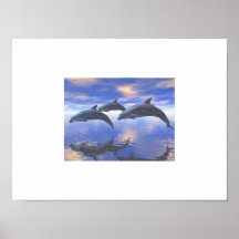 Bonheur de dauphin affiches