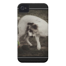 Bonheur illimité coques iPhone 4