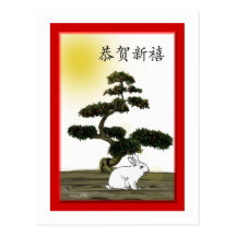 Bonne année/Chinois Carte Postale