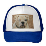 BOOBOO CASQUETTE