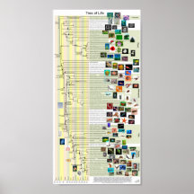 Boom van de evolutieposter van het Leven