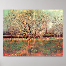 Boomgaard in de Bomen van de Pruim van de Bloesem  Poster