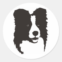 Border collie adhésif
