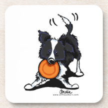 Border collie au jeu sous-bock