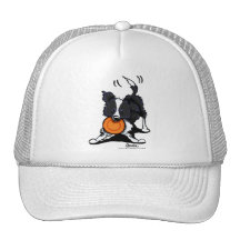 Border collie bij Spel Petten