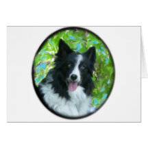 Border collie carte de vœux