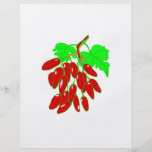 Bos van Spaanse pepers Folder Ontwerp