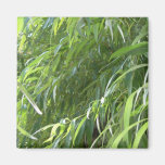 Bosquet Magnets