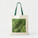 Bosquet Sacs