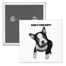 Boston Terrier :  Qui est votre bébé ? Badge