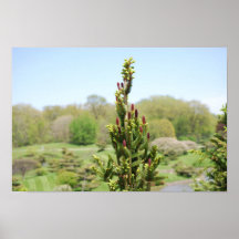 Botanische Tuin Plaat