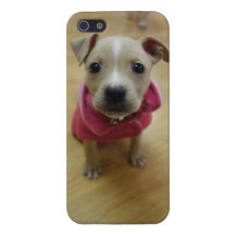 Boterbloem iPhone 5 Hoesjes