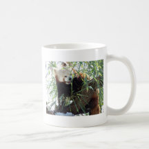 Bouche ouverte de panda rouge mugs à café