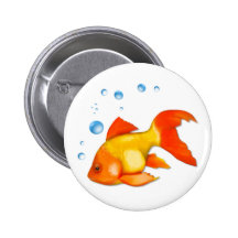 Bouillonne le poisson rouge badge