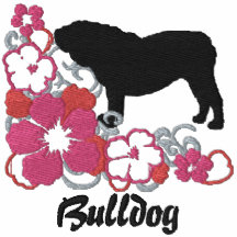 Bouledogue rose de l'anglais de ketmie