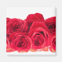 Bouquet des roses roses lumineux aimant