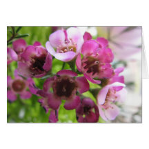 Bouquet minuscule cartes