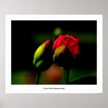 Bourgeon floraux (luminescents) posters