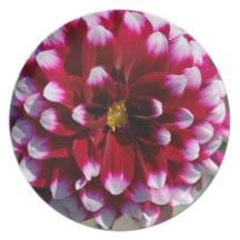 Bourgogne et dahlia blanc assiette