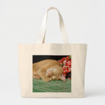 Bourse de chat tigré du gingembre B0001959 Sac