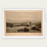 Bout de Buffalo Bierstadt (0137A) - non restauré cartes