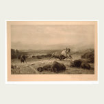 Bout de Buffalo Bierstadt (0137A) - reconstitué posters