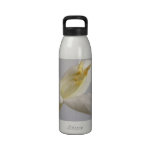 Bouteille de liberté de fleur blanche