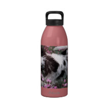 Bouteille d'eau bleue de border collie de merle