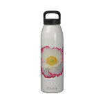 Bouteille d'eau de ~ de pavots