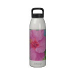 Bouteille d'eau de ketmie