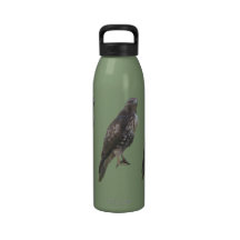 Bouteille d'eau - faucon pérégrin