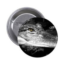 Bouton d'alligator pin's
