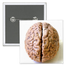 bouton de cerveau pin's