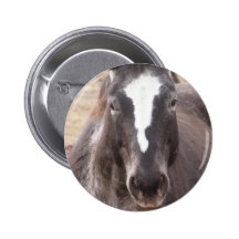 Bouton de cheval badge avec épingle