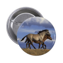Bouton de chevaux badges