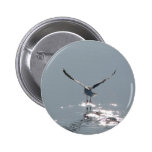 Bouton de mouette pin's