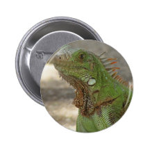 Bouton Lounging de lézard Badges Avec Agrafe