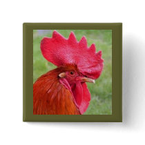 Bouton vivant de Coutry de coq rouge Pin's Avec Agrafe