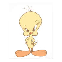 Boze Tweety posters
