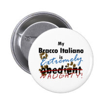 Bracco extrêmement vilain Italiano Pin's