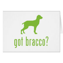 Bracco Italiano Carte