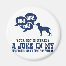 Bracco Italiano Magneten