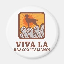 Bracco Italiano Magnets