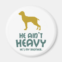 Bracco Italiano Magnets