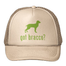Bracco Italiano Mesh Pet