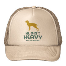 Bracco Italiano Mesh Pet